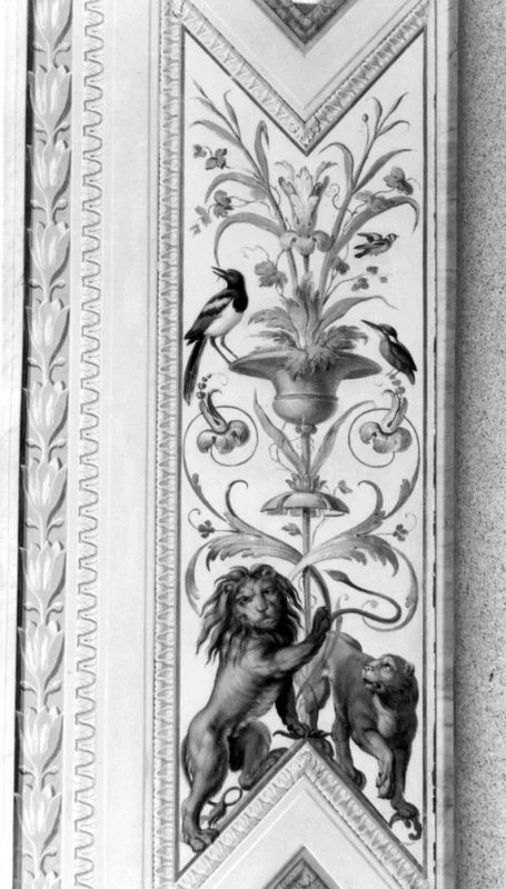 Fagiano e uccello - Villa Borghese Pinciana, Roma